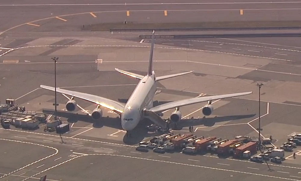 flights arriving in jfk today