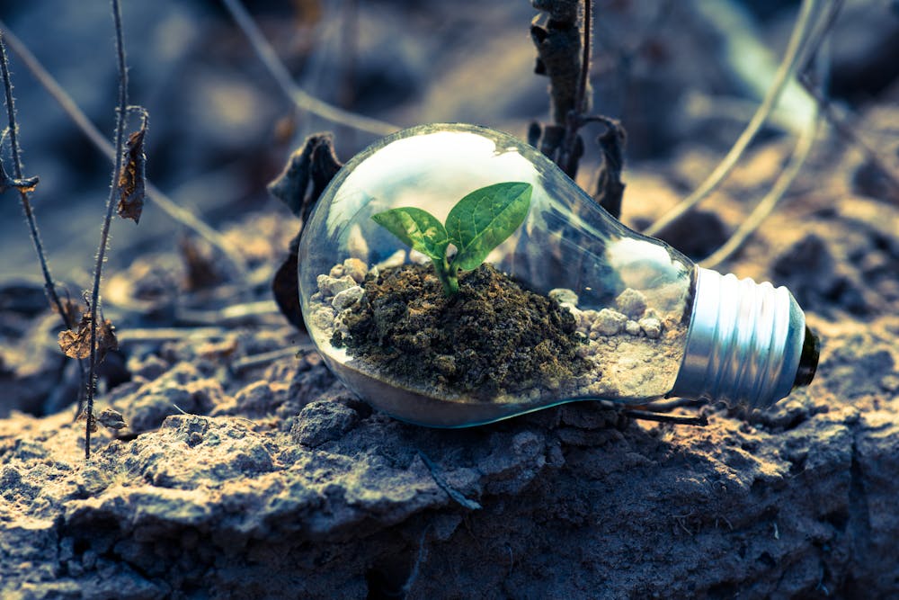 Symbolic representation of climate innovation and the impact of climate anxiety on sustainable thinking