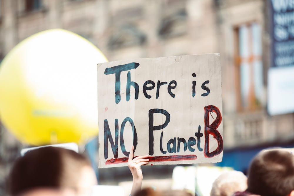 Climate protest sign held at a rally